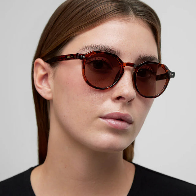 Lentes de Sol - Chauen Tigris Brown