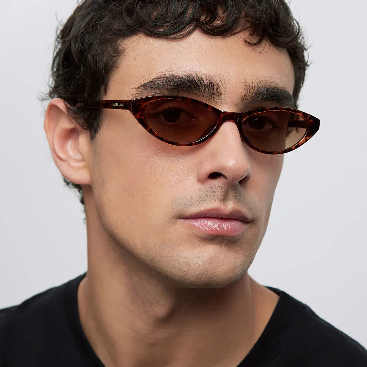 Lentes de Sol - Oza Tigris Brown