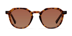 Modelo Chauen en color Tigris Brown