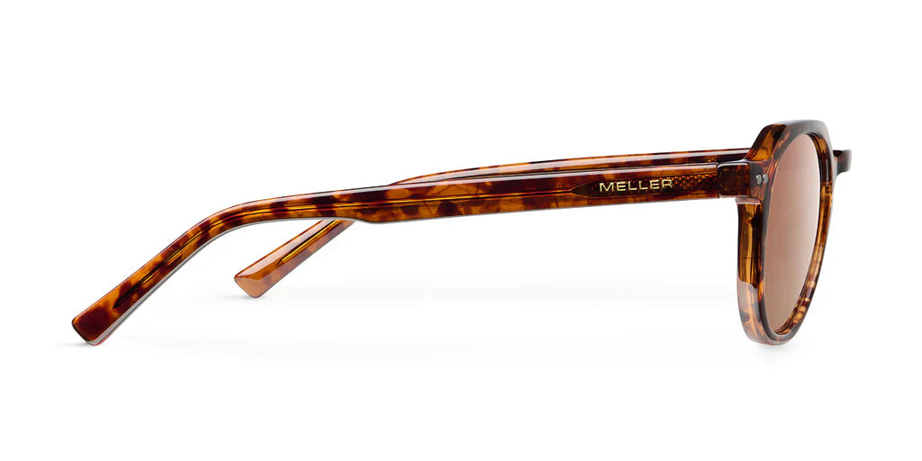 Lentes de Sol - Chauen Tigris Brown