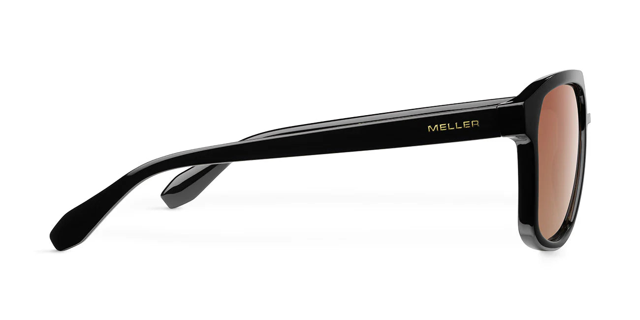 Lentes de Sol - Dara Black Brown