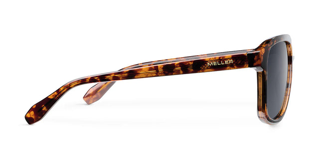 Lentes de Sol - Dara Tigris Carbon