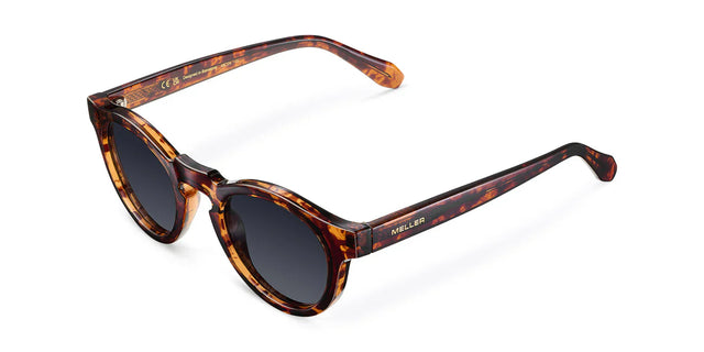 Lentes de sol Dayo Tigris Carbon Meller Chile - vista 2