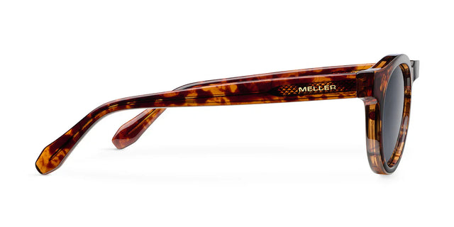 Lentes de sol Dayo Tigris Carbon Meller Chile - vista 3