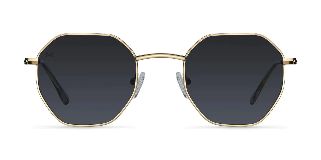 Lentes De Sol - Endo Gold Carbon