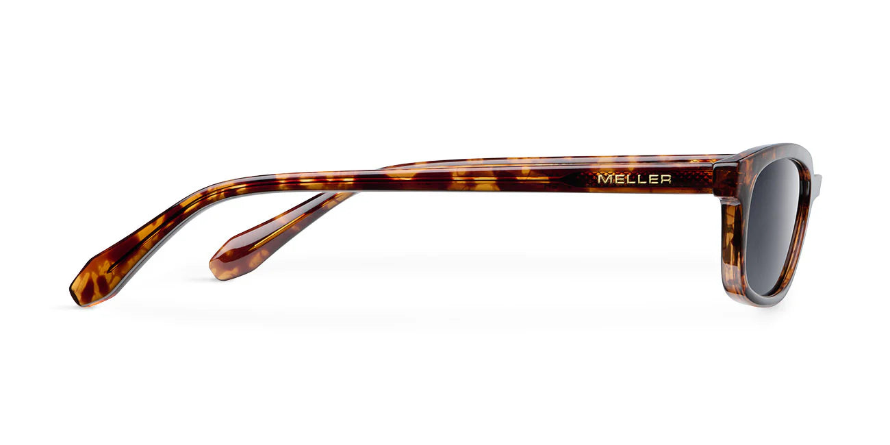 Lentes de Sol - Eru Tigris Carbon