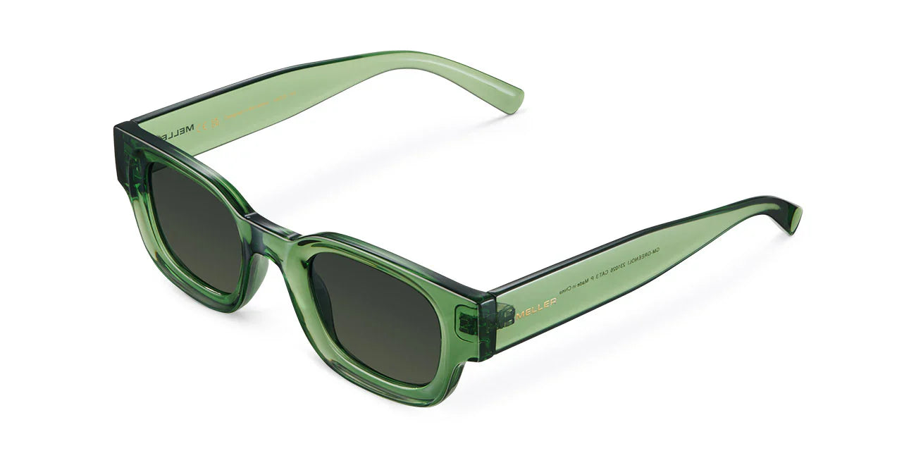 Lentes de Sol - Gamal All Olive