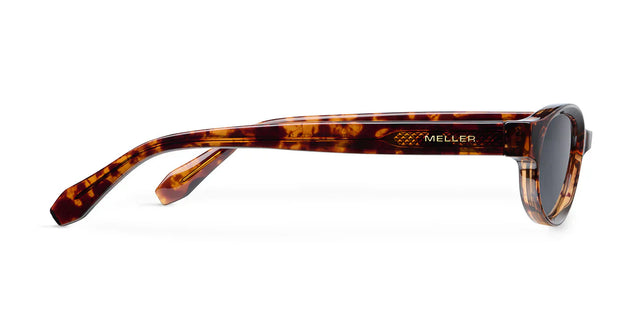 Lentes de Sol - Ina Tigris Carbon