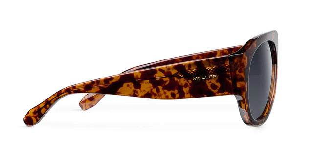 Lentes de Sol - Lira Tigris Carbon