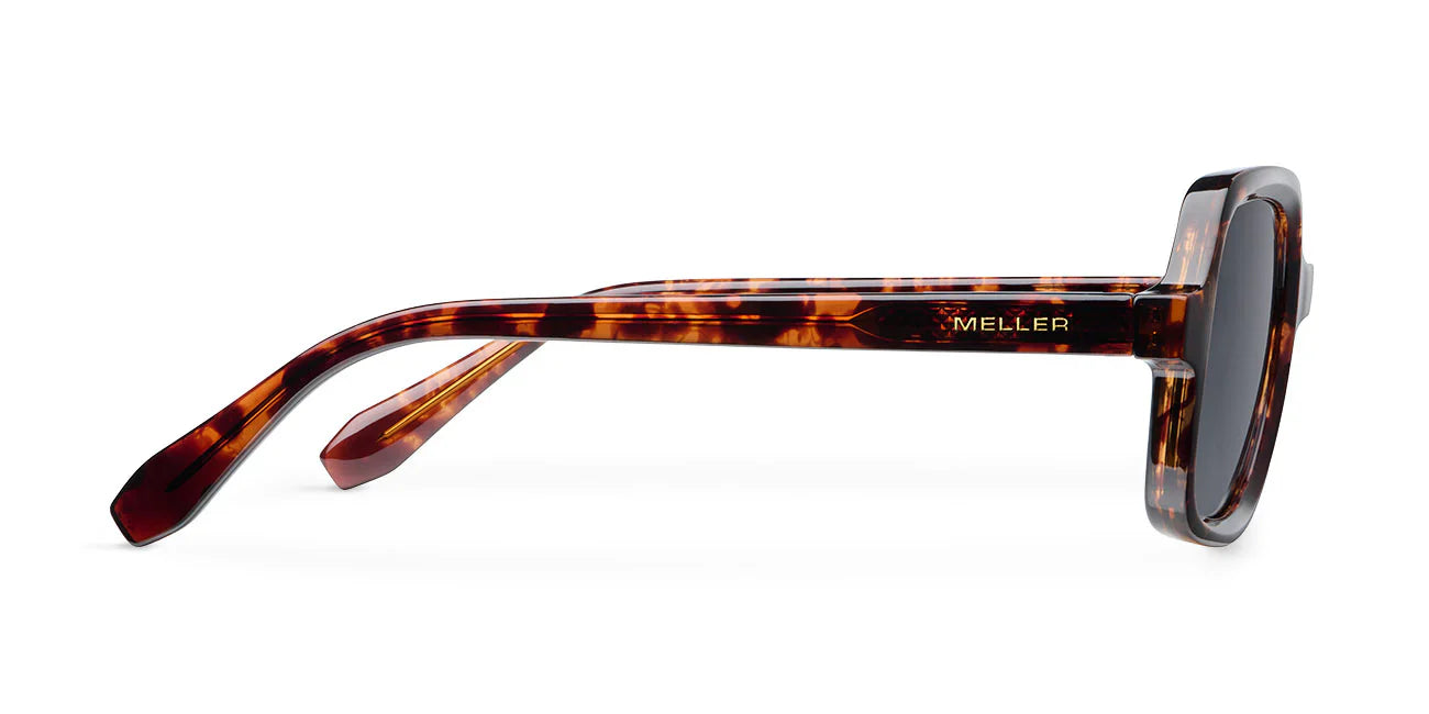 Lentes de Sol - Neo Tigris Carbon