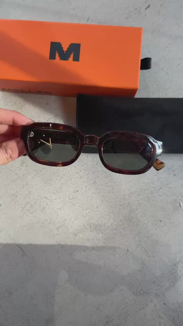 Lentes de Sol - Jamil Tigris Olive