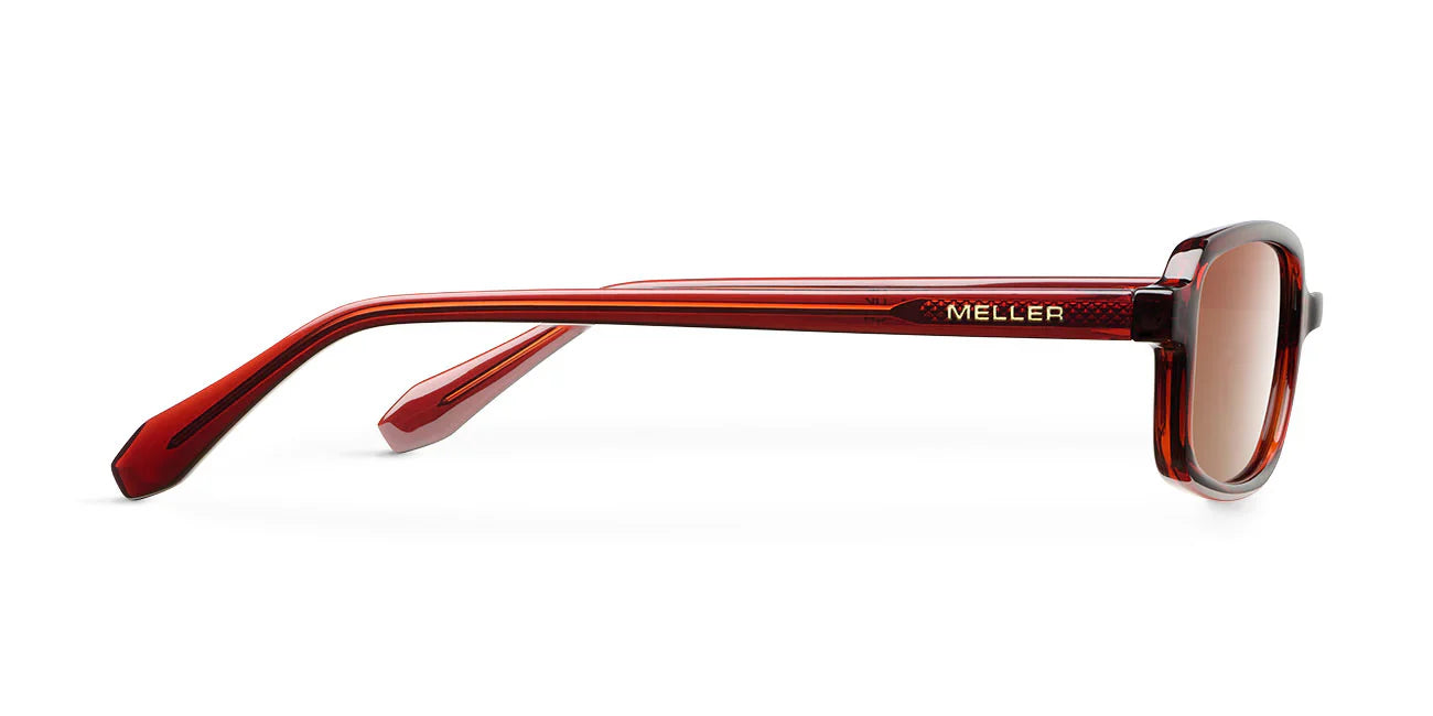 Lentes de Sol - Razi Maroon Brown