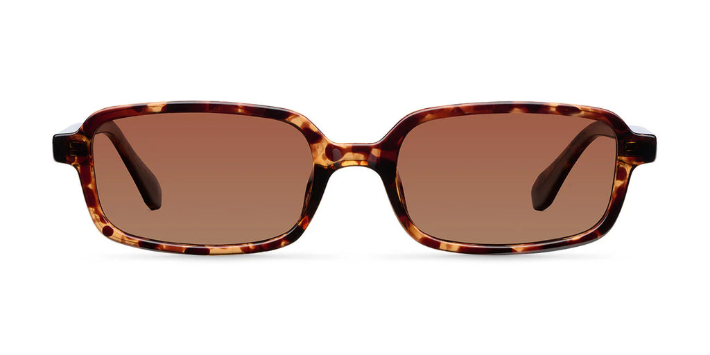 Lentes de Sol - Razi Tigris Brown