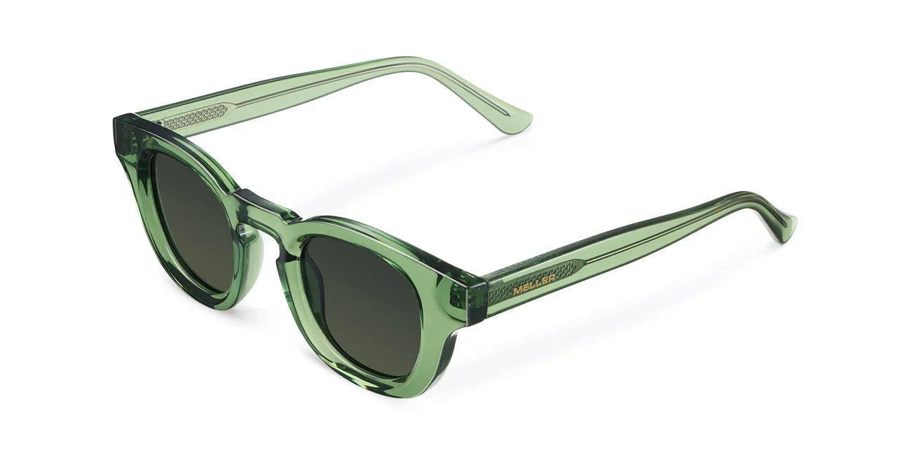 Lentes de Sol - Sarabi All Olive