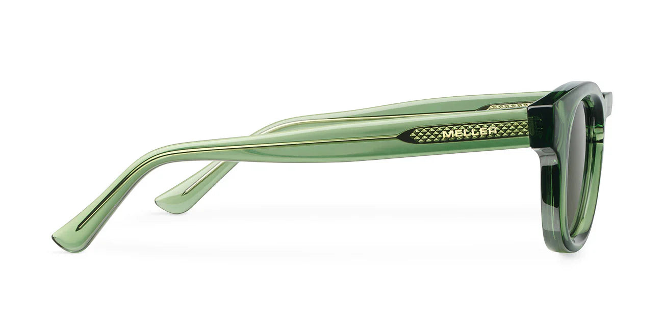 Lentes de Sol - Sarabi All Olive