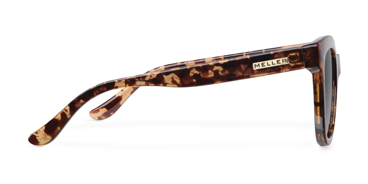 Lentes de Sol - Mahé Tigris Carbon