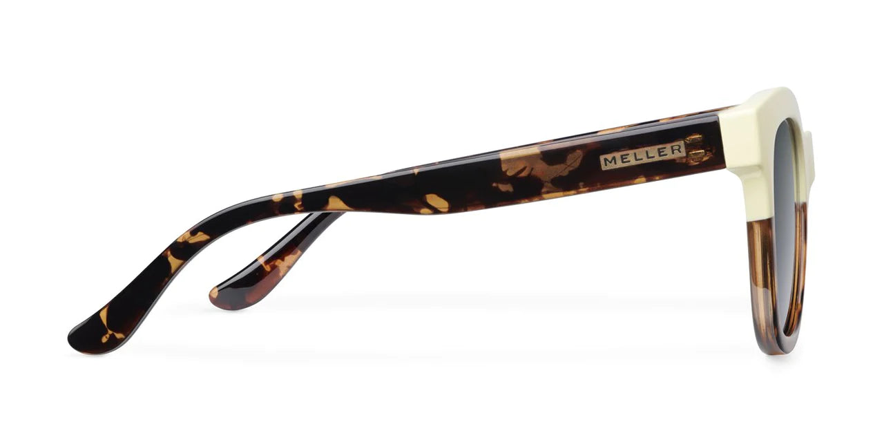 Lentes de Sol - Mahé Willsi Carbon